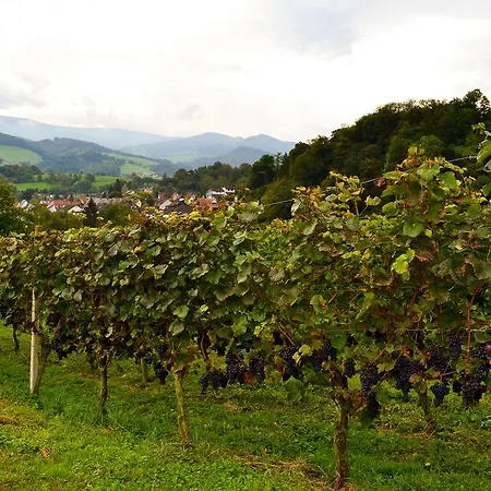Kuner Weitzel Landgasthof Frohe Einkehr Gbr 3* Merzhausen