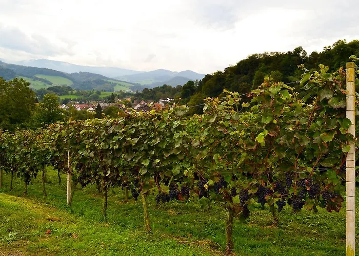 Kuner Weitzel Landgasthof Frohe Einkehr Gbr 3* Merzhausen